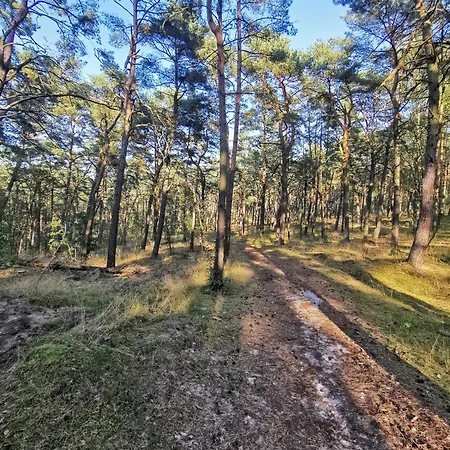 Apartament M&k - Vyspa *