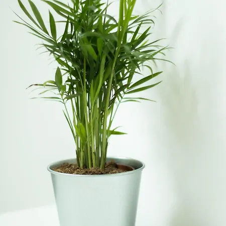 Apartament M&k - Vyspa Gdańsk