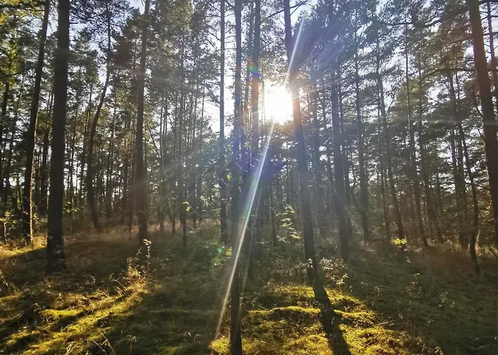 M&k - Vyspa Апартаменты