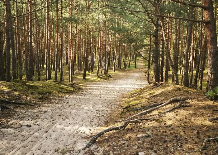 M&k - Vyspa * גדנסק