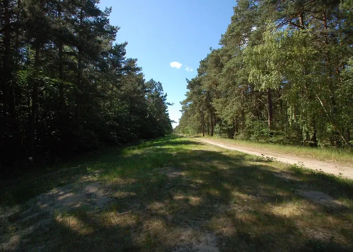 M&k - Vyspa גדנסק