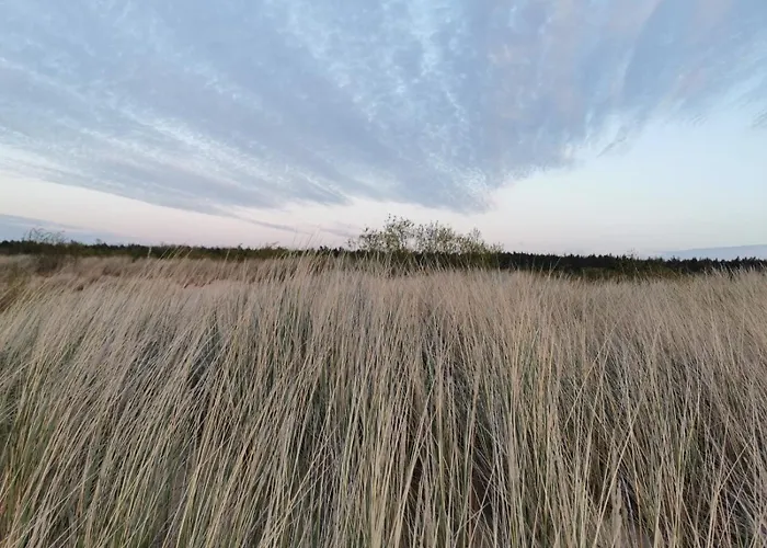 M&k - Vyspa Апартаменты