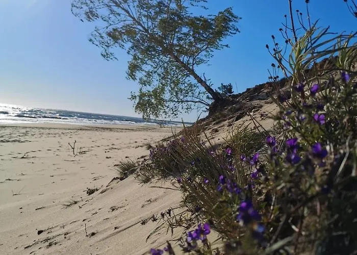 M&k - Vyspa Апартаменты *