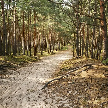 M&k - Vyspa * Gdansk